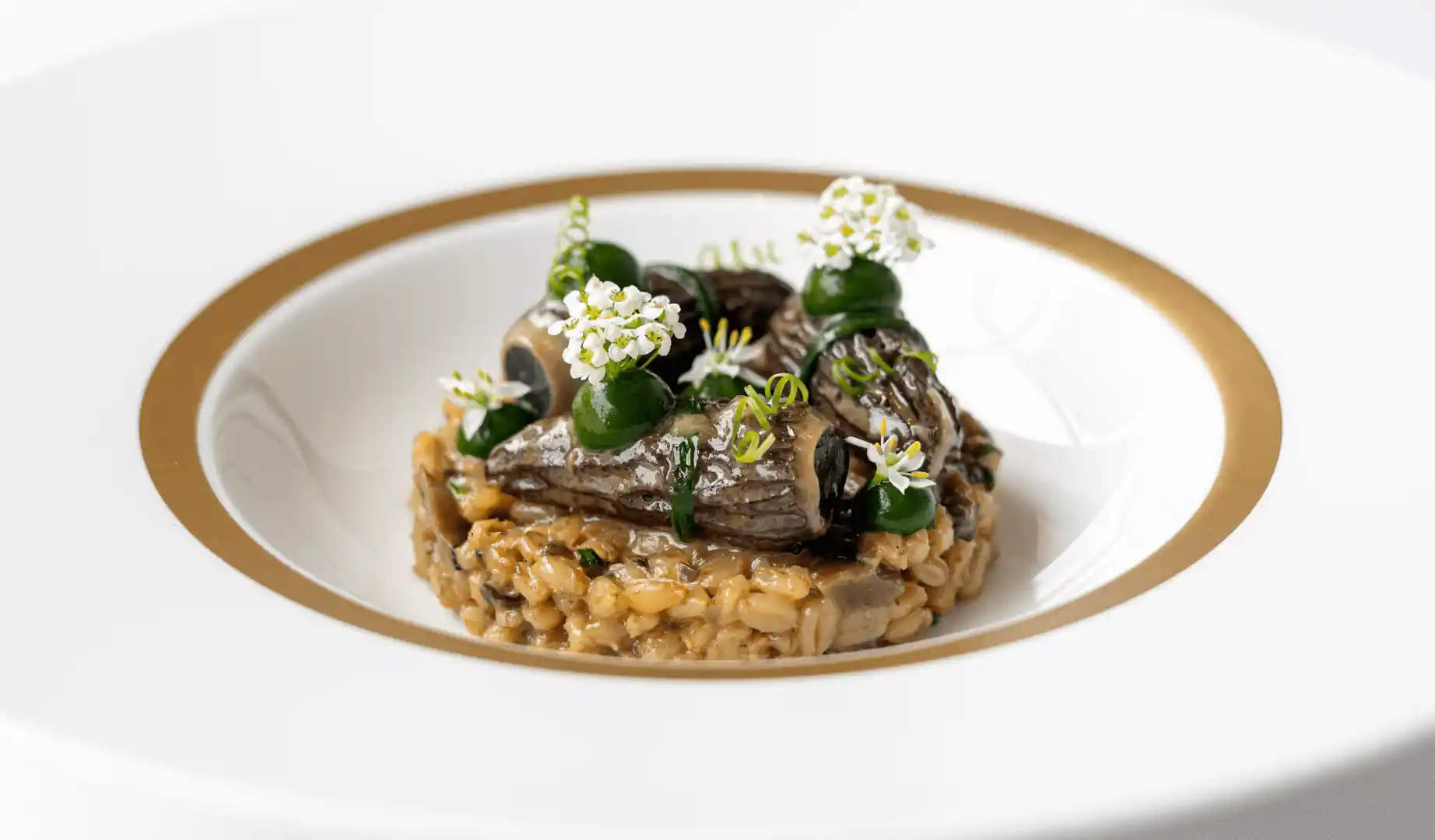 Pétrus by Gordon Ramsay 2